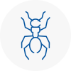 Ant Removals In Yarmouth
