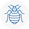 Bed Bug Extermination In Yarmouth