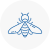 Bee Nest Removal Yarmouth