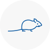 Mice Exterminators In Yarmouth