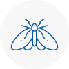 Moth Control Specialists In Yarmouth