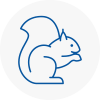 Yarmouth Rodent Removals