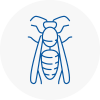 Yarmouth Wasp Nest Removal